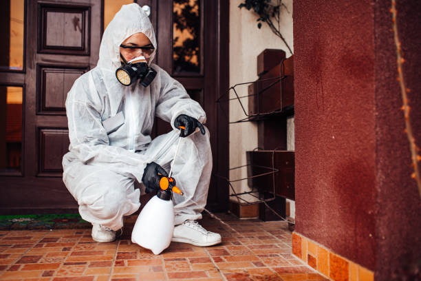 Reliable Ant Control contractor in Monte Alto, TX by Show Me Pest Control
